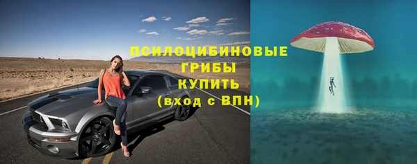 2c-b Алзамай