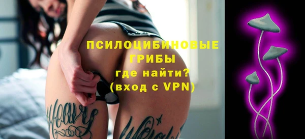 прущие грибы Алексин