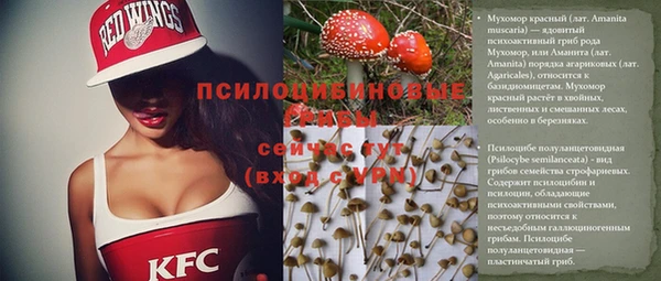 СК Алексеевка