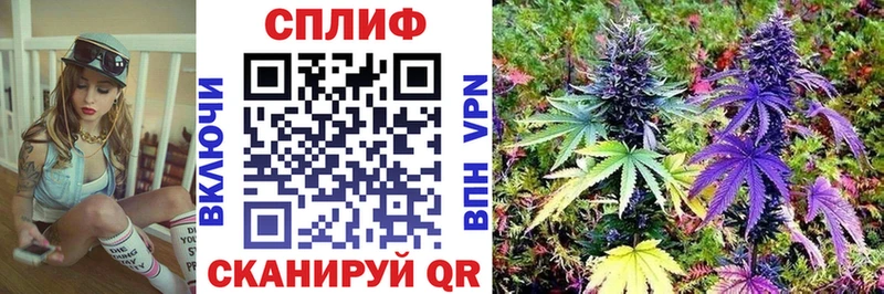 Бошки Шишки индика OMG как зайти Пучеж